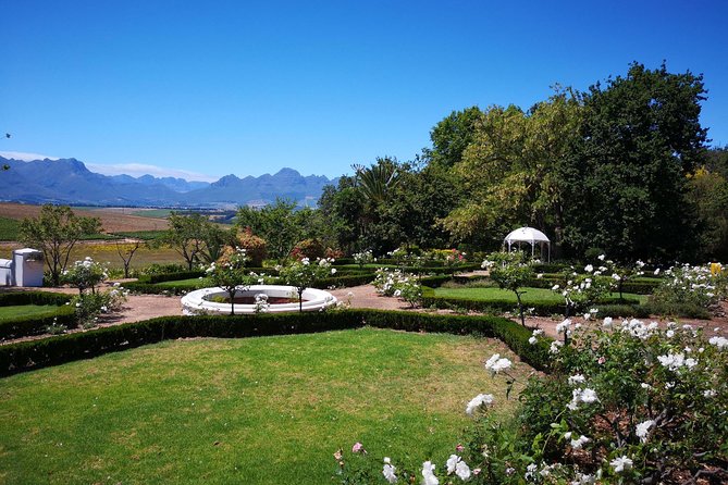 Private Cape Winelands From Stellenbosch or Franschhoek or Paarl - Additional Info: Reviews, Pricing, and More