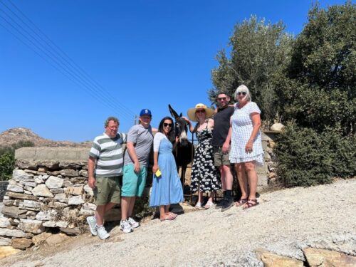 Private Day Tour in Naxos Lunch Included - Booking and Contact Information