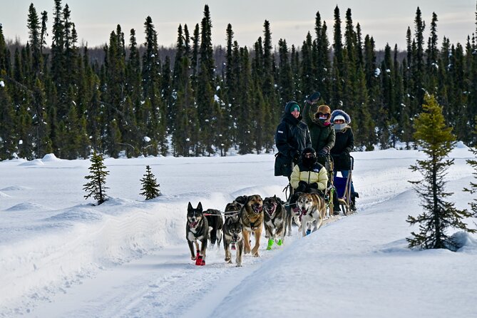 Private Dog Sled Tour - Meeting Point and End Point