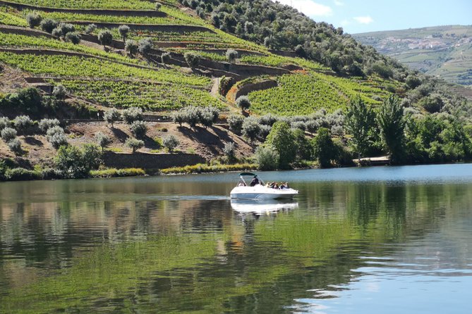 Private Douro Valley With Mercedes Convertible, Lunch / Tastings 2 Wine Estates - Copyright and Legal Information