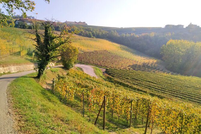 Private E-Bike Tour " Langhe Del Barbaresco " - Asphalt Only - Last Words