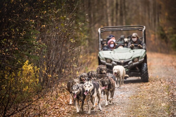 Private Fall Foliage Mushing Cart Ride in Fairbanks - Directions