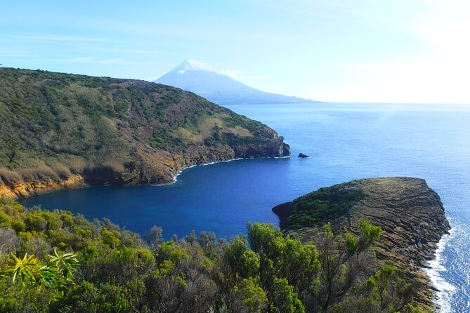 Private Full Day Tour - Faial Island (Up to 8 People) - Common questions
