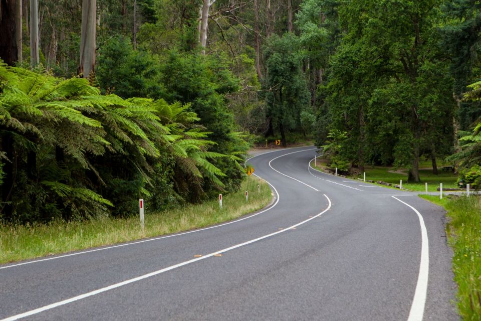 Private Great Ocean Road Tour - Payment Flexibility
