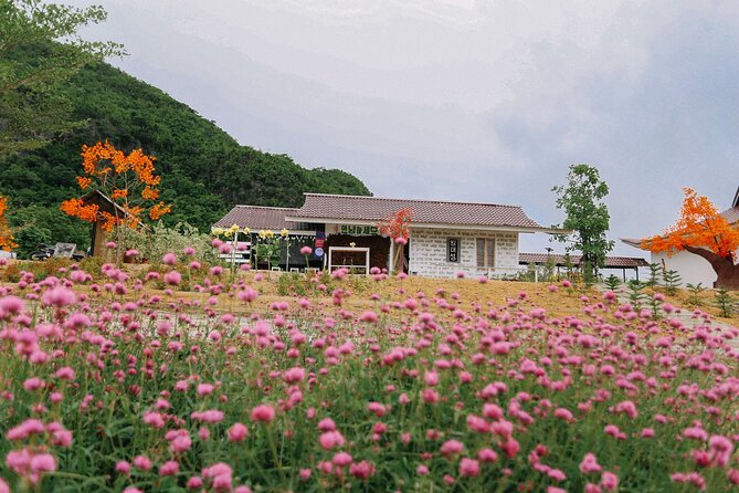 Private Guided Tour Kanchanaburi Wellness World and Cafe Hop - Cultural Immersion