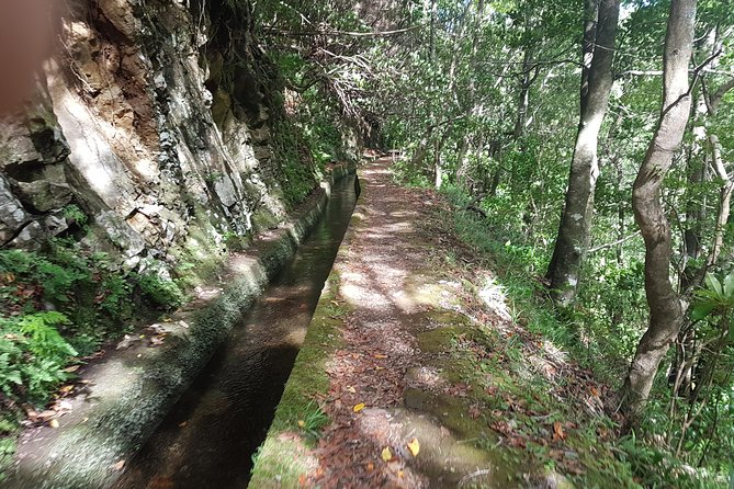 Private Guided Walk Levada Ribeira Da Janela - Additional Support and Information