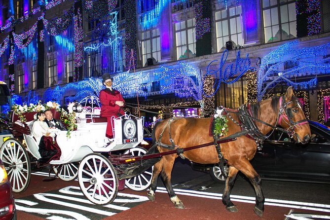 Private Horse-Drawn Carriage Ride of New York City - Weather Considerations