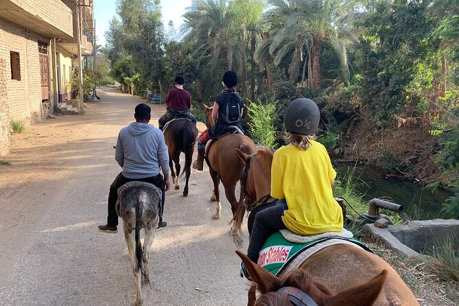 Private Horse Riding Tour in Luxor West Bank - Common questions