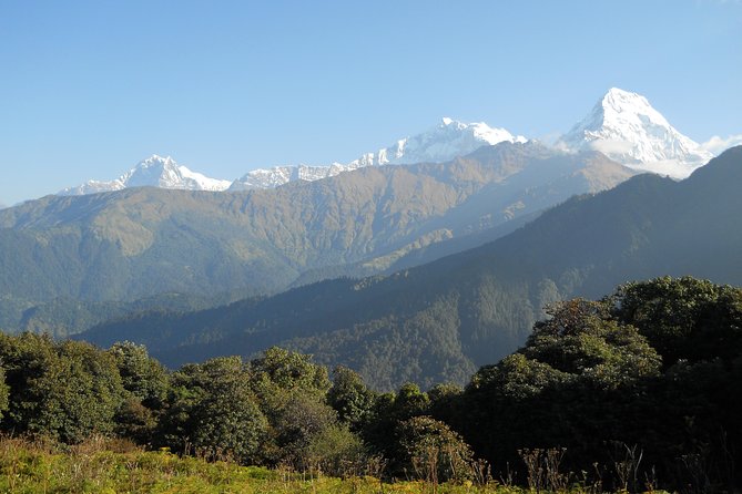 Private Multi Day Nepal Poon Hill Trekking Tour - Guide and Assistance