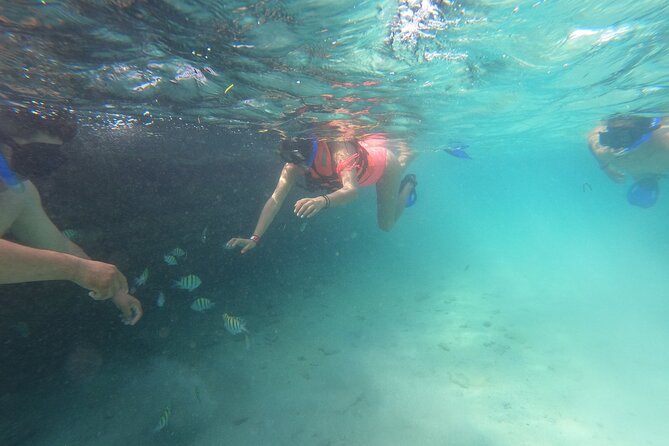 Private MUSA Snorkeling Experience at Isla Mujeres and Cancun - Cancellation Policy and Refunds