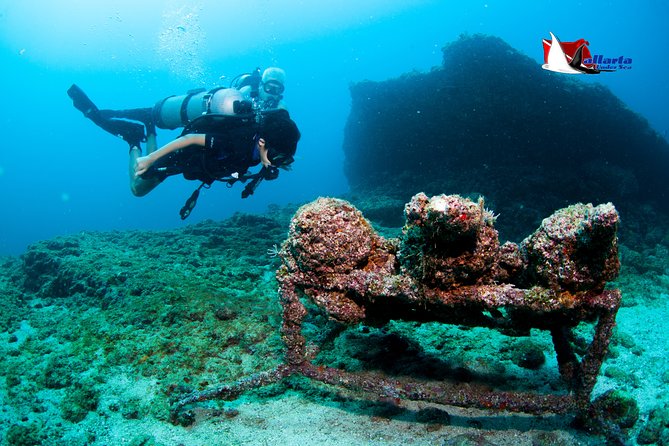 Private Scuba Diving Puerto Vallarta Undersea - Last Words