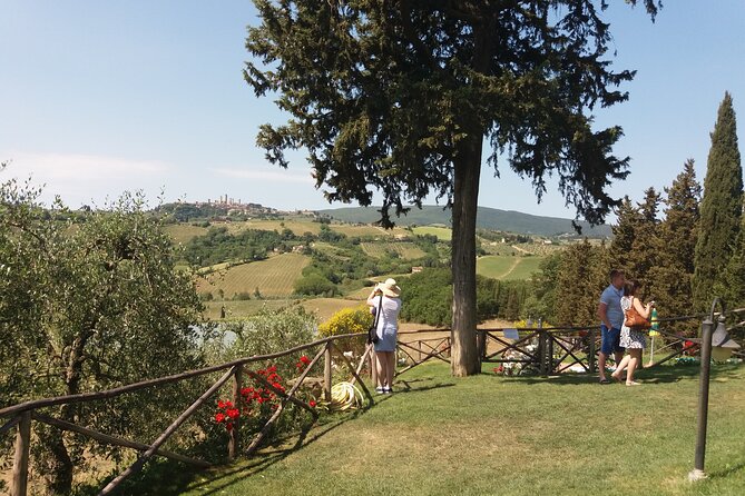 Private Tour in San Gimignano and Chianti Day Trip From Florence - Itinerary Details