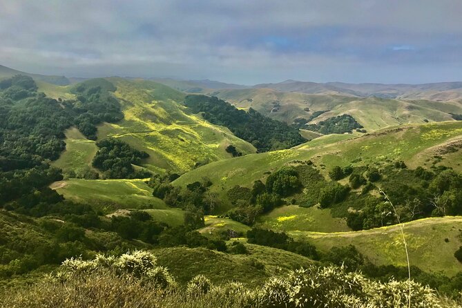 Private Tour of Californias Central Coast (San Luis Obispo-Paso Robles-Cambria) - Last Words