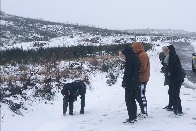 Private Tour Through Serra Da Estrela Park and Its Famous Cheese - Last Words