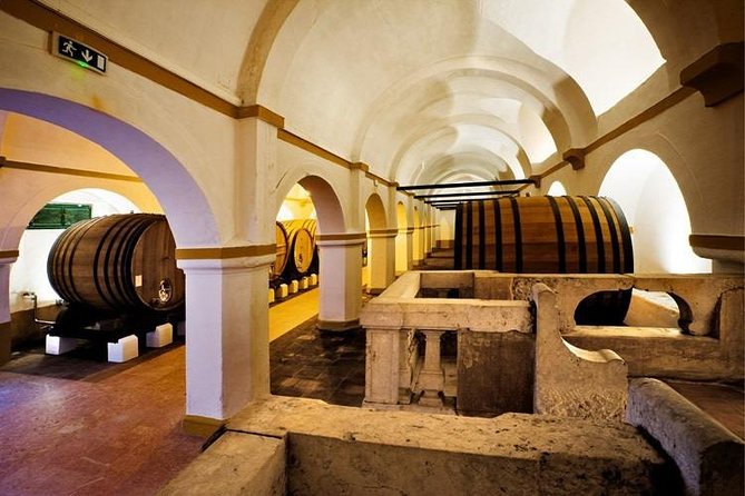 Private Tour to Evora With Optional Wine Tasting in the Cartucha - Customer Reviews