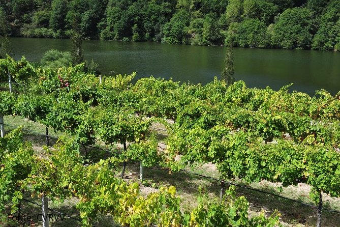 Private Tour to Ponte De Lima, Vinho Verde Region - Common questions