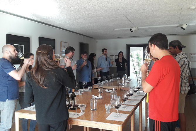 Private Tour Wine (region Évora) Wine Tasting - Customer Support and Contact Info