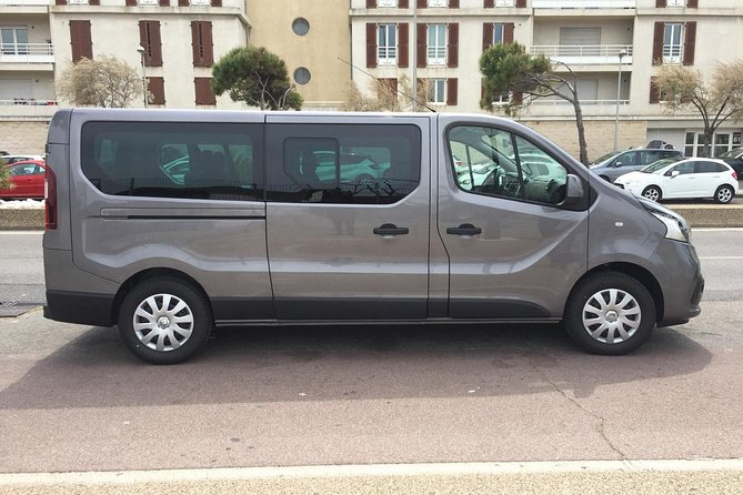 Private Transfer Marseille - Lyon - Traveling With Infants and Animals