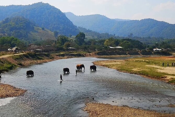 Private White Water Rafting and ATV Adventure in Chiang Mai - Last Words