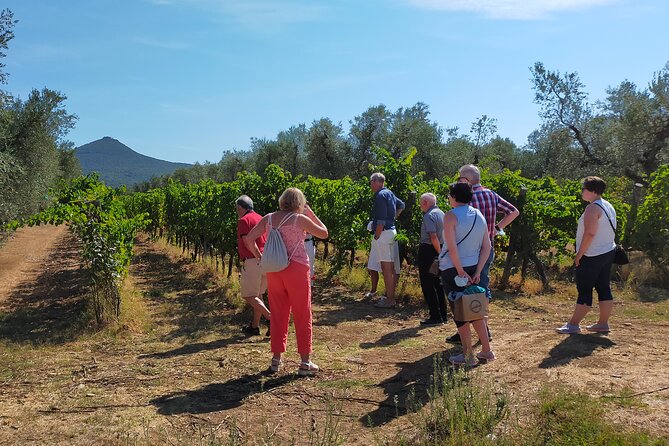 Private Wine Tour - 2 Beautiful Wineries and Lunch in the Heart of Bolgheri - Last Words