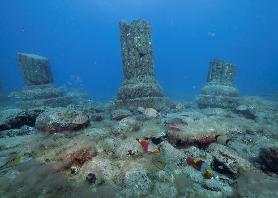 Puerto De Mogán: Submarine Tour - Additional Information