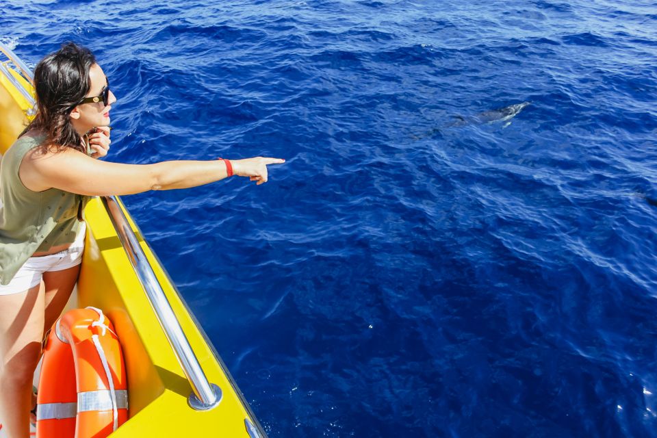 Puerto Del Carmen: Dolphin-Watching Speedboat Tour With Swim - Last Words