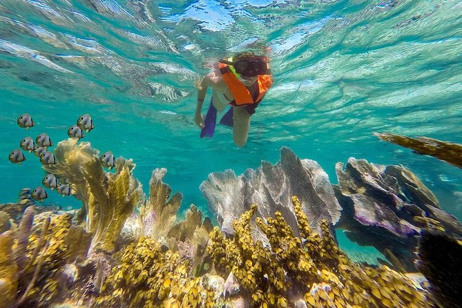 Puerto Morelos Reef Snorkeling Tour With Pickup - Common questions