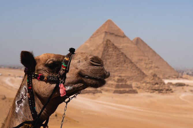 Pyramids and Egyptian Museum - Cairo Tour - Directions