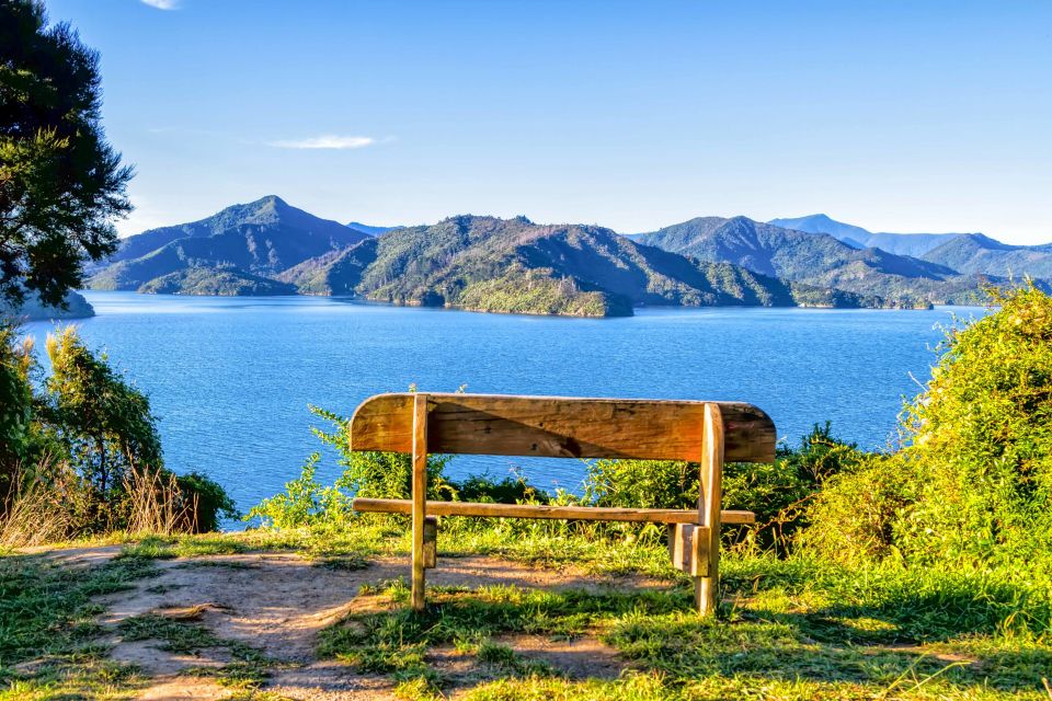 Queen Charlotte Track: Cruise & Self-Guided Hike From Picton - Transportation Details