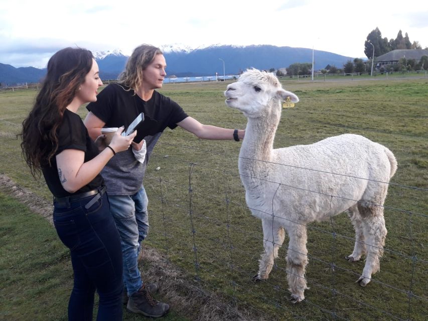 Queenstown: Small-Group Tour to Milford Sound With Cruise - Last Words