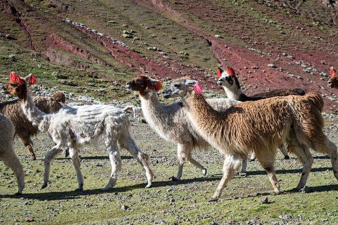 Rainbow Mountain (Day Trip) - Booking Details