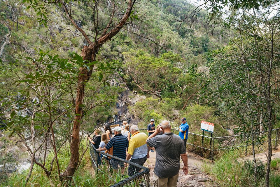 Rainforests and Glow Worm Cave: Day Tour From Brisbane - Directions and Meeting Point