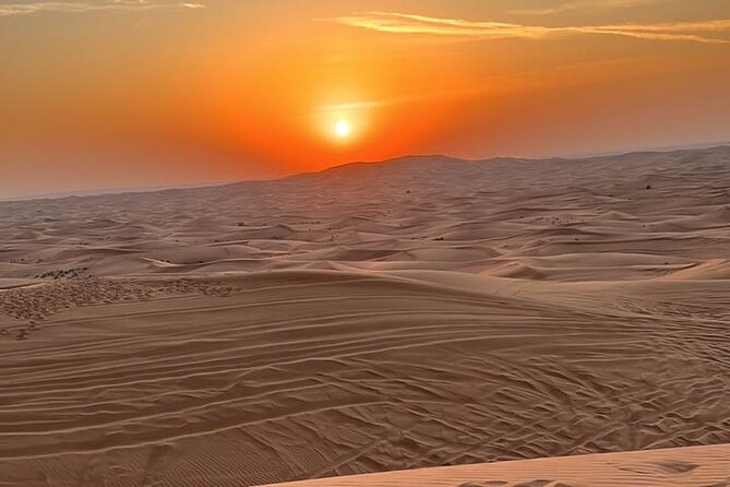 Red Dune 4x4 Desert Safari With Sand Boarding & Camel (4 Hr) - Traveler Reviews