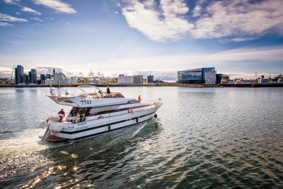 Reykjavik: Northern Lights Motor Yacht Cruise - Last Words