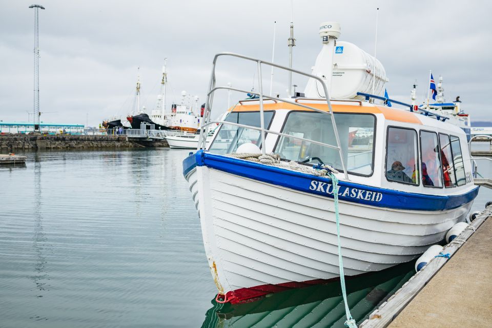 Reykjavik: Puffin Watching Boat Tour - Directions