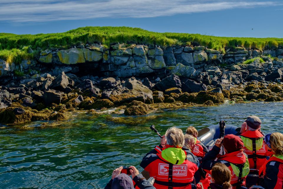 Reykjavik: Puffin Watching Tour - Tour Guide Expertise