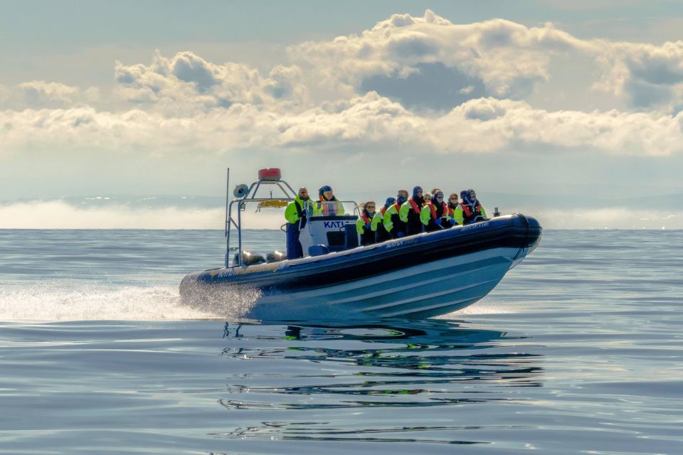 Reykjavík: RIB Speed-Boat Puffin Watching Tour - Common questions