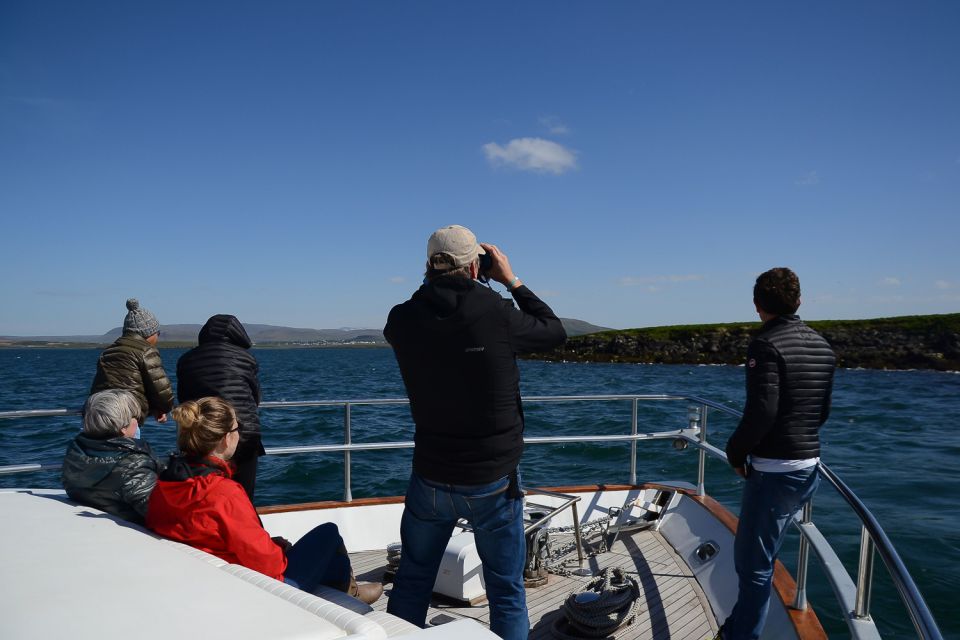 Reykjavik: Whale Watching and Dolphin Watching Yacht Cruise - Additional Information