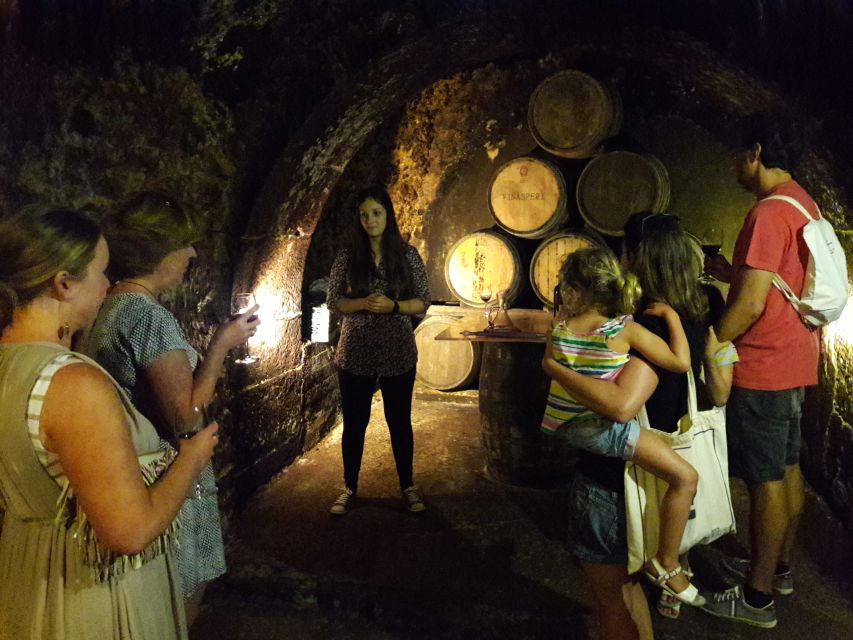 Rioja: Private Wine Tasting Tour - Boutique Winery Tasting