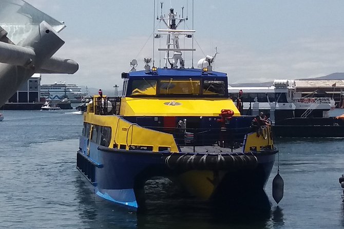 Robben Island Prison Stellenbosch Wineries From Cape Town Incl Ferry Ticket - Last Words