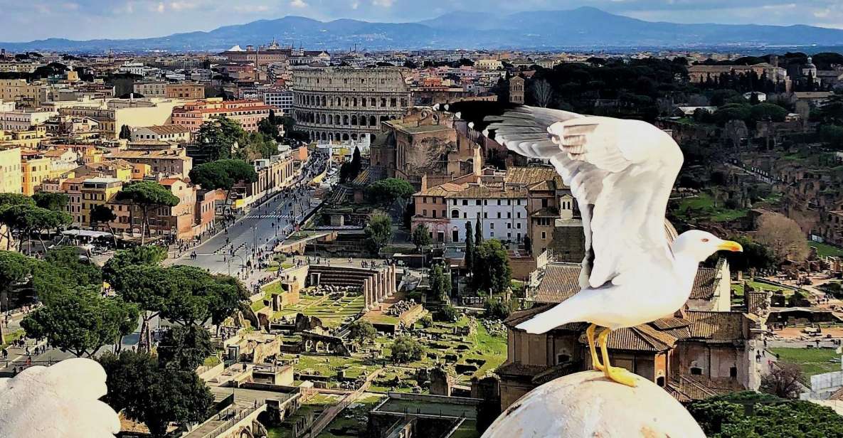 Rome: Vatican, Colosseum & Main Squares Tour W/ Lunch & Car - Additional Information and Services