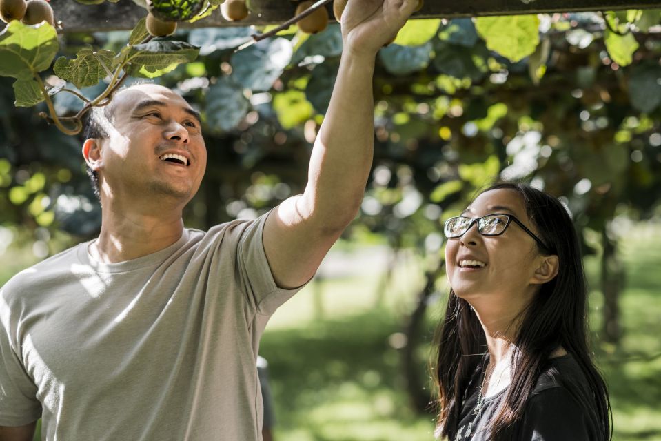 Rotorua: Agrodome Farm Tour With Show and Produce Tasting - Location and Accessibility