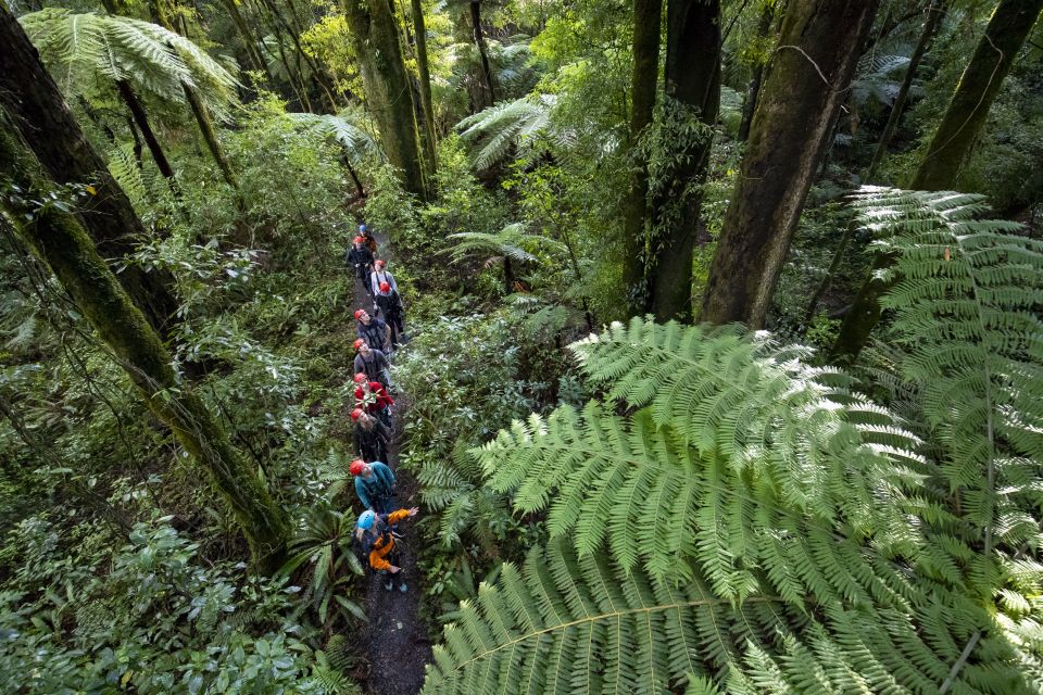 Rotorua: Guided Zipline Adventure Tour With Photos - Safety Measures