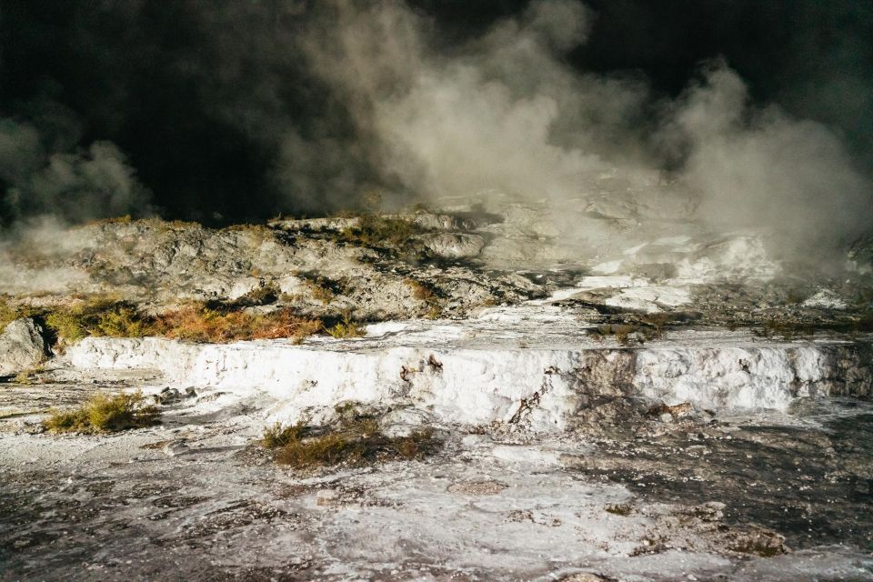 Rotorua: Te Puia Geyser Night Walking Tour - Last Words