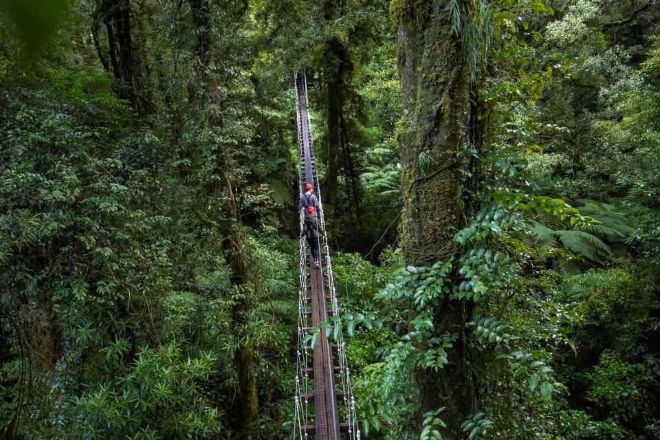 Rotorua: Ultimate Guided Zipline Tour W/ Volcanic Cliff Walk - Customer Feedback