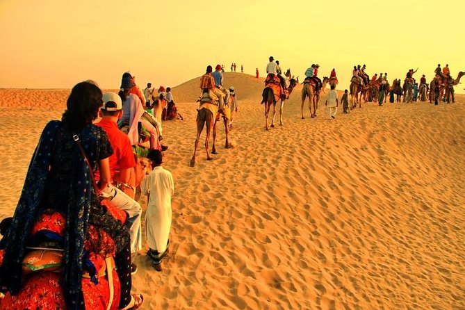 Royal Evening Desert Safari With Bbq Dinner & Live Shows - Common questions