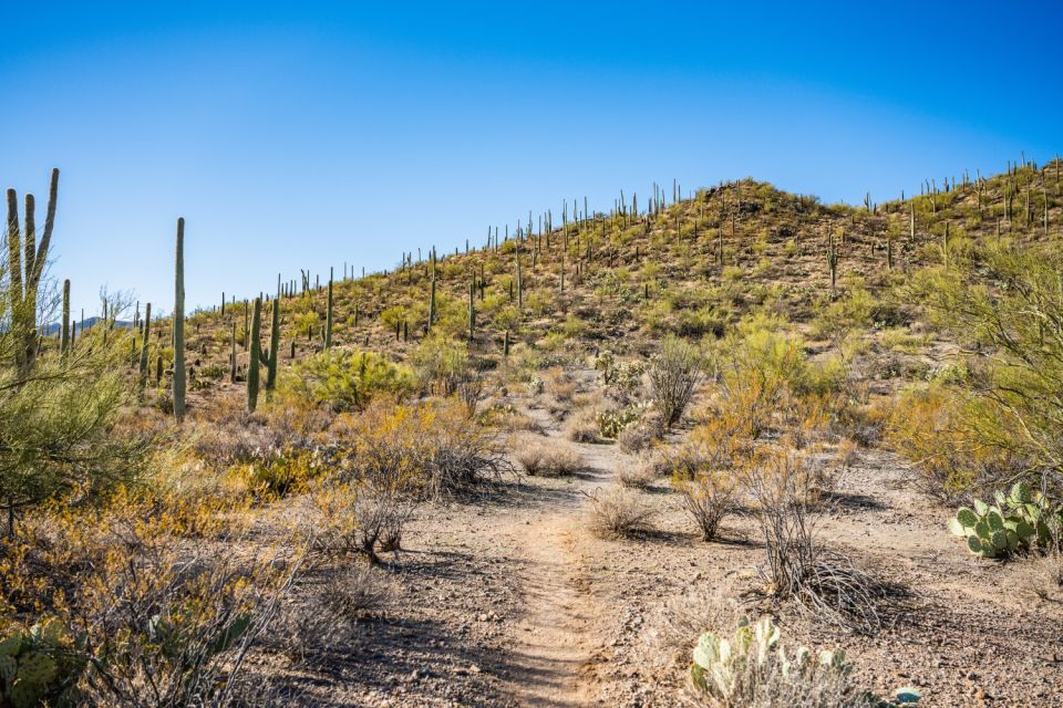 Saguaro National Park Self Guided Driving Audio Tour - Directions