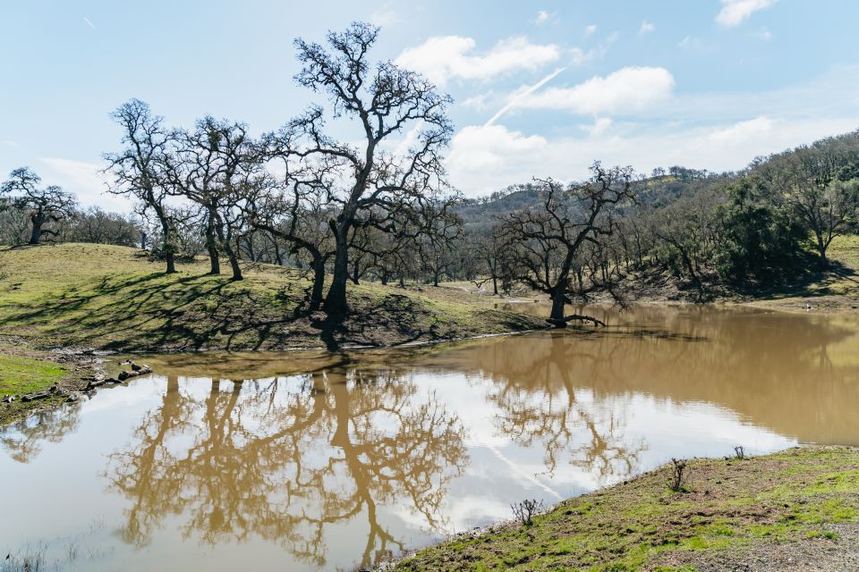 San Luis Obispo: Santa Lucia Guided Nature Tour by Hummer - Common questions