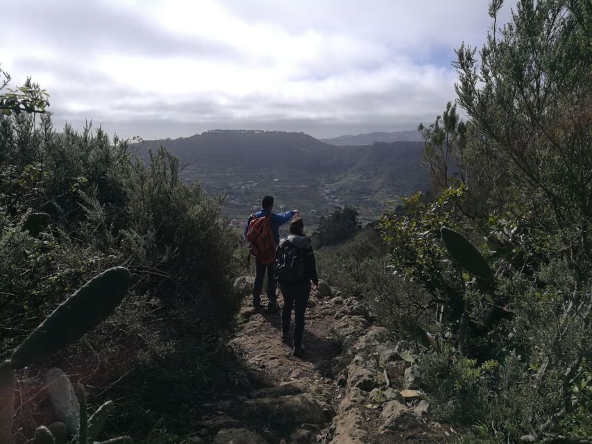 Santa Cruz De Tenerife: 2-Hour Hiking Tour in Anaga Forest - Last Words