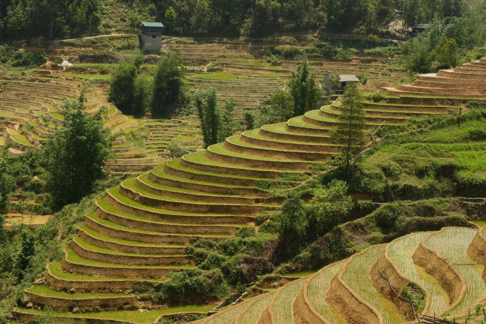 Sapa Daily Trip: Easy Trekking and Hotel 2 Days 1 Night - Last Words